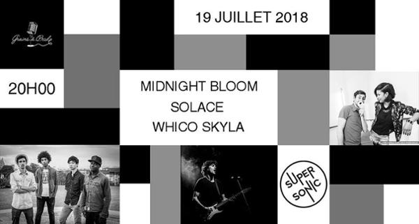 Midnight Bloom - Solace - Whico Skyla