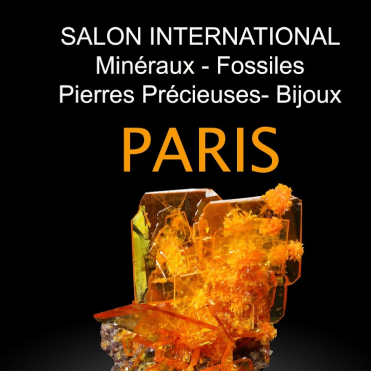 Salon international, minéraux, fossiles, gemmes, bijoux Paris
