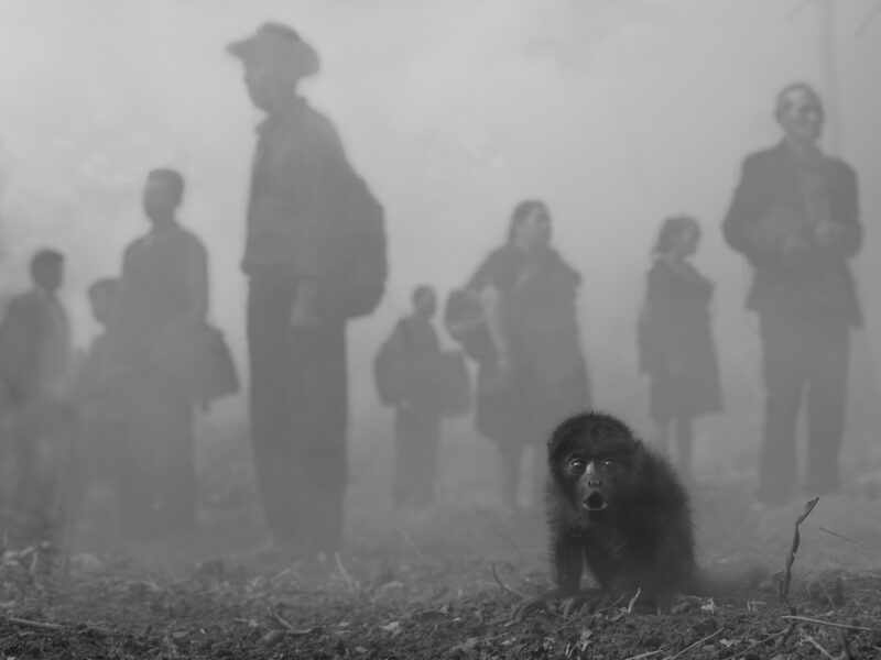 Expostion The Day May Break : Chapitre 2 - Nick Brandt