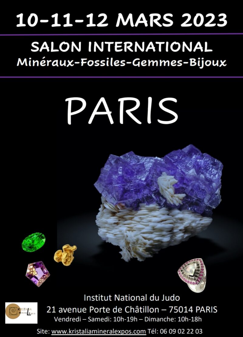 Salon international de minéraux, fossiles, pierres précieuses et bijoux Paris