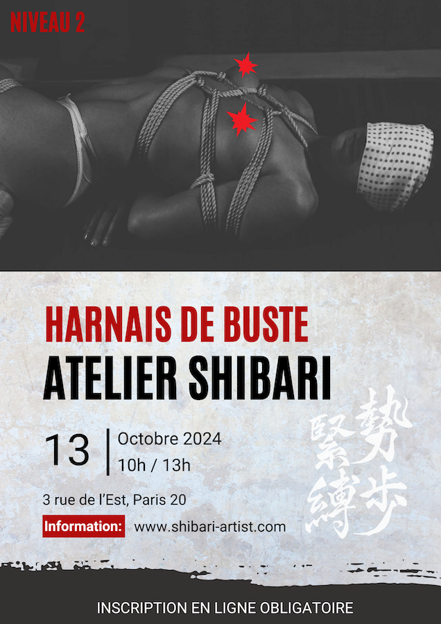 Atelier Shibari Spécial Harnais de Buste