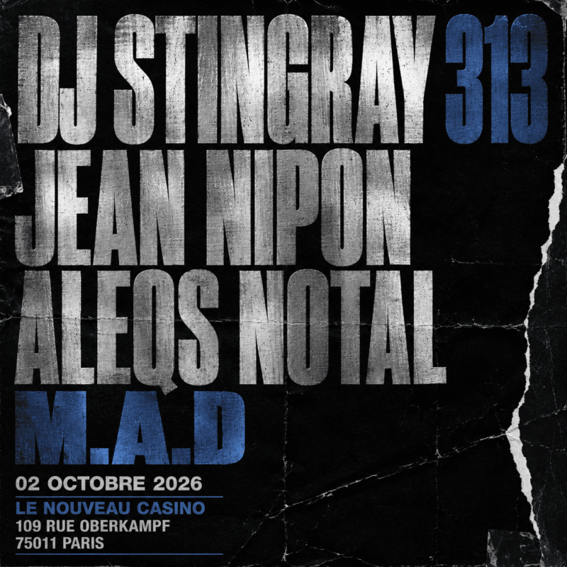 Dj Stingray 313